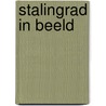 Stalingrad in beeld by Perry Pierik