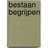 Bestaan begrijpen