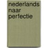 Nederlands naar perfectie