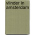 Vlinder in Amsterdam
