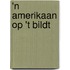 'n Amerikaan op 't Bildt