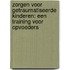 Zorgen voor getraumatiseerde kinderen: een training voor opvoeders
