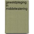 Geweldpleging in Middelwatering