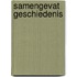 Samengevat Geschiedenis