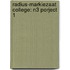 Radius-Markiezaat College: N3 Porject 1