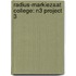 Radius-Markiezaat College: N3 Project 3
