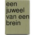 Een juweel van een brein