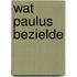 Wat Paulus bezielde