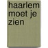 Haarlem moet je zien