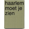 Haarlem moet je zien door Sak van den Boom