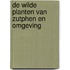 De wilde planten van Zutphen en omgeving