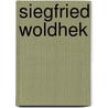 Siegfried Woldhek door Peter Vandermeersch