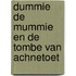 Dummie de mummie en de tombe van Achnetoet