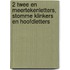 2 Twee en meertekenletters, stomme klinkers en hoofdletters