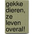 Gekke dieren, ze leven overal!