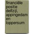 Financiële positie Delfzijl, Appingedam en Loppersum