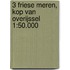 3 Friese Meren, Kop van Overijssel 1:50.000