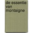 De essentie van Montaigne