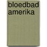 Bloedbad Amerika