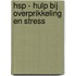 HSP - hulp bij overprikkeling en stress