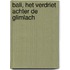 Bali, het verdriet achter de glimlach