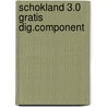 Schokland 3.0 gratis dig.component door Sander Heebels