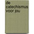 De Catechismus voor jou