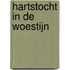 Hartstocht in de woestijn