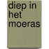 Diep in het moeras