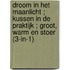 Droom in het maanlicht ; Kussen in de praktijk ; Groot, warm en stoer (3-in-1)