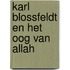 Karl Blossfeldt en het Oog van Allah