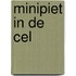 Minipiet in de cel