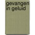 Gevangen in geluid