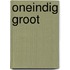 Oneindig groot