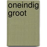 Oneindig groot door Klaas Wagenaar