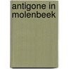 Antigone in Molenbeek by Stefan Hertmans