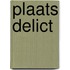 Plaats delict