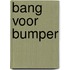 Bang voor Bumper