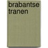 Brabantse tranen