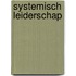 Systemisch leiderschap