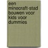 Een Minecraft-stad bouwen voor kids voor dummies