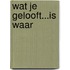 Wat je gelooft...is waar