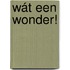Wát een wonder!