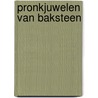 Pronkjuwelen van baksteen by Norma van der Horst