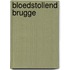 Bloedstollend Brugge