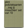 Plint poëziekaarten '...zag jij misschien' set van 10 by Joost Zwagerman