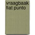 Vraagbaak Fiat Punto