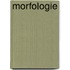Morfologie