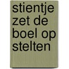 Stientje zet de boel op stelten door Paulien Andriessen