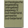 Archeologische Begeleiding 'Plangebied Papeweg 5', Oud-Beijerland, Gemeente Oud-Beijerland door L.R. Van Wilgen